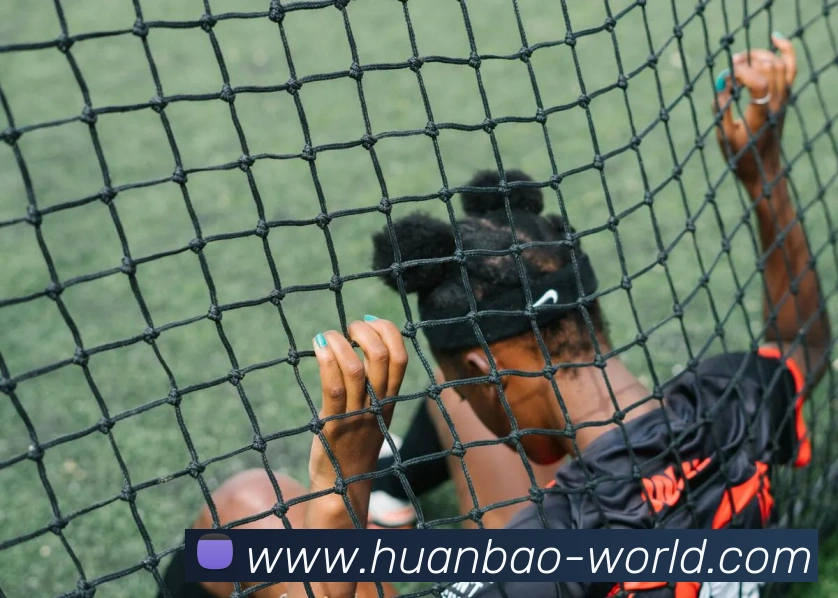 新爱体育app官网发展历程