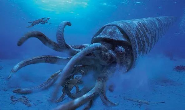 触须：它体长11米，人们曾将它的化石当作独角兽的角