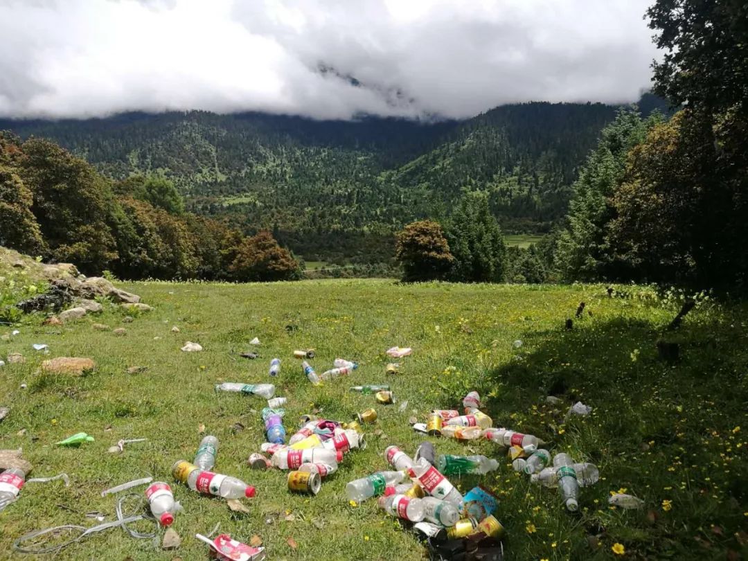 泰山景区积极开展垃圾分类活动