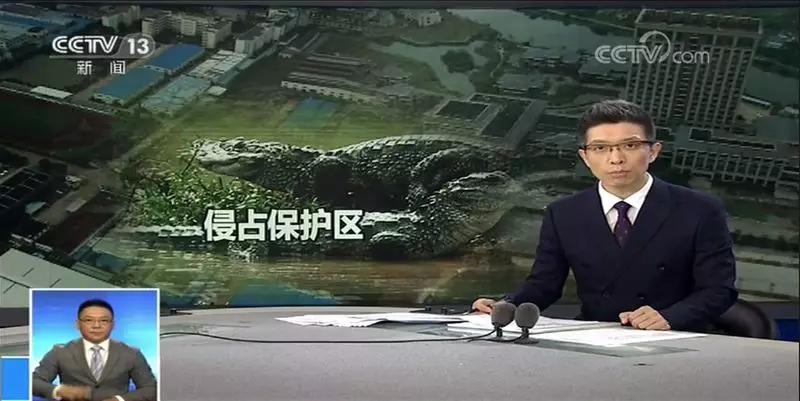 泾县：科大讯飞又摊上事了！在保护区建培训基地被央视曝光