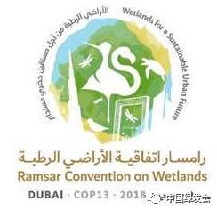 湿地：绿会代表团飞抵阿联酋迪拜 |《国际湿地公约》第13次缔约方大会第一天