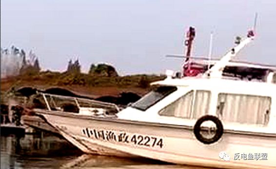 电鱼：“中国渔政42274”艇遭电鱼鬼挑衅，法律威严何在？