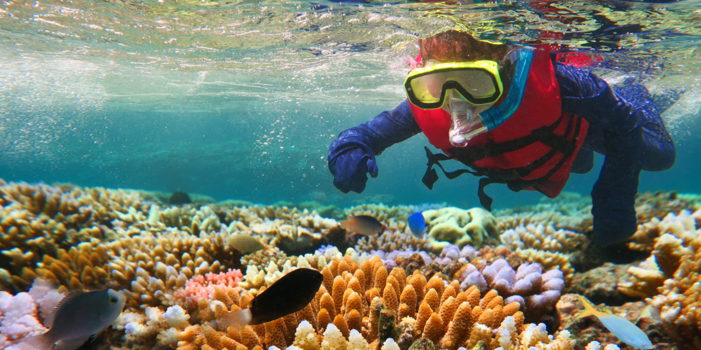 ThinkstockPhotos-610660400-Child-snorkeling-in-Great-Barrier-Reef-Queensland-Australia_chameleonseye-1440x720.jpg
