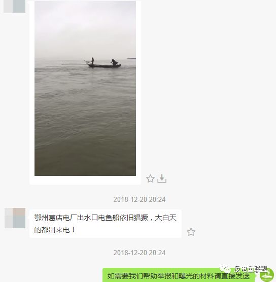 电鱼：鄂州市葛店电厂出水口，电鱼船依旧猖獗！
