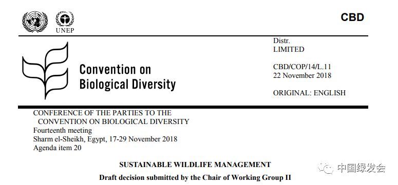 物种：周晋峰和绿会团队与《生物多样性公约》可持续野生动物管理顾问深入交流