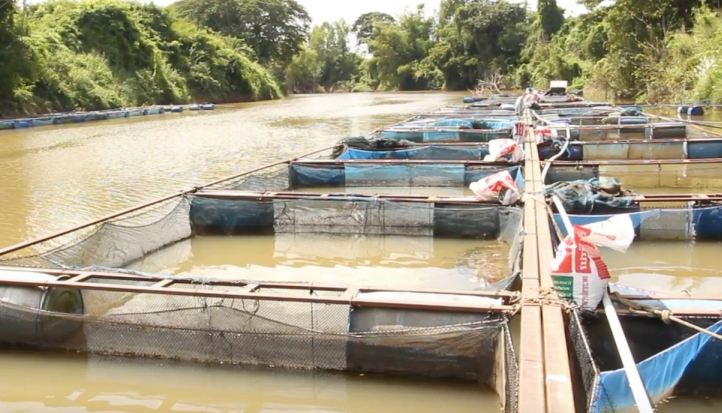 泰国：重蹈覆辙的泰国淡水渔场