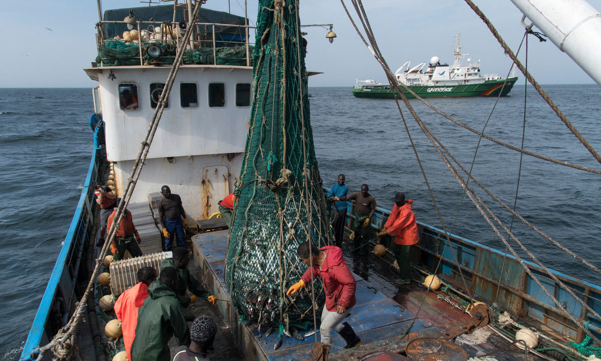 西非：西非国家在沿海捕捞问题上做了笔好生意吗？