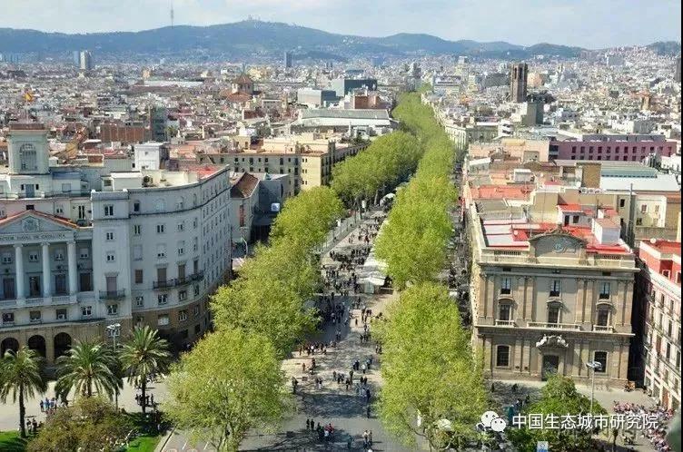 道路：巴塞罗那城市“大马路”改造 回归人本主义