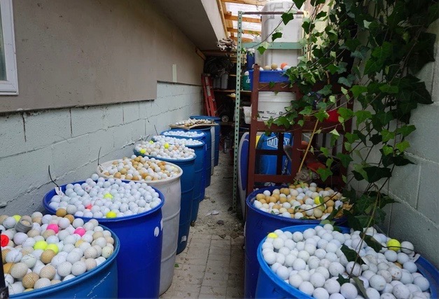 高尔夫球：塑料污染蔓延海洋 美国父女2年捞5万颗高尔夫球
