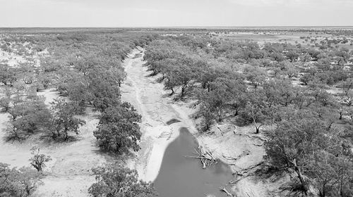 盆地：澳大利亚河流监管机构被指“玩忽职守”