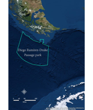 Islas-Diego-Ramirez-y-Paso-Drake-323x383.jpg