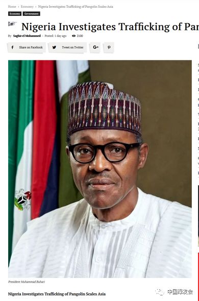 尼日利亚：尼日利亚调查亚洲穿山甲鳞片贩运——绿会"穿山甲正名之年"观察