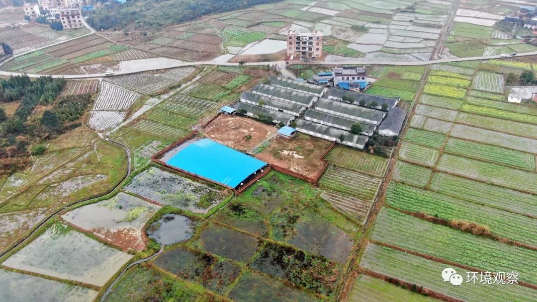 快反：永州蓝山小江洞村养殖场污染调查