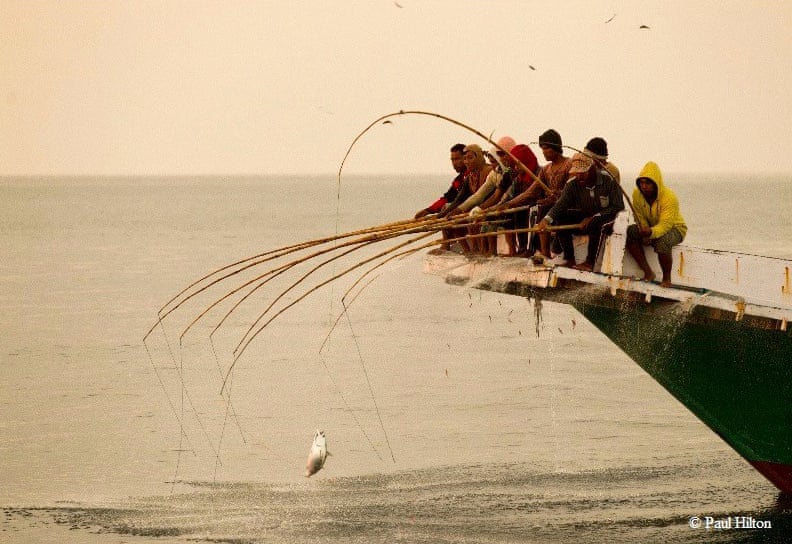 印尼：鼓励“一鱼一线” 印尼推出可持续渔业法