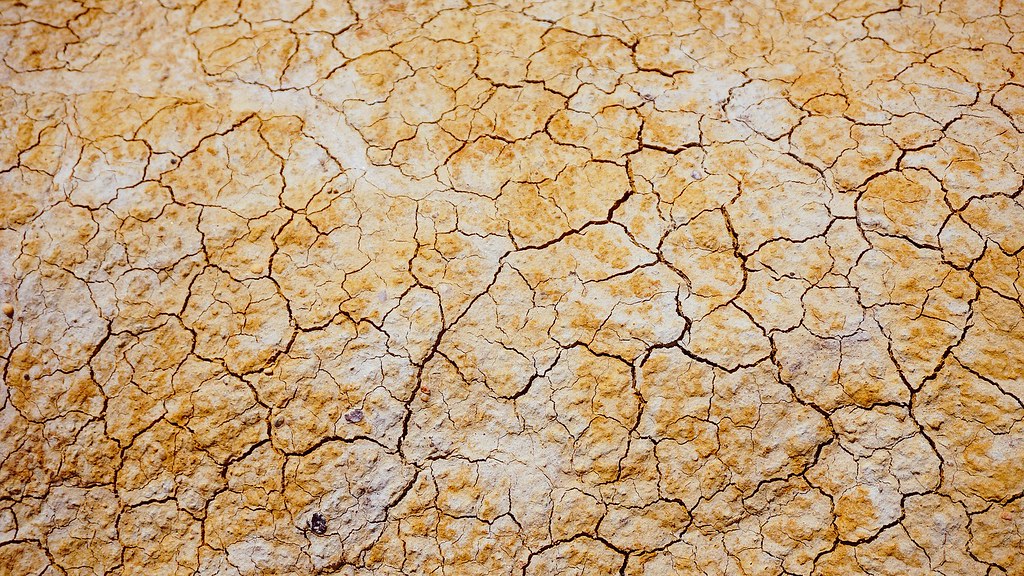 干旱：东南亚国家协会警告东南亚受干旱冲击严重 应建立抗旱共同体