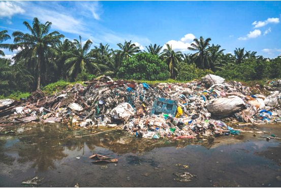 废塑料：我们是否在见证“洋垃圾”时代的终结？
