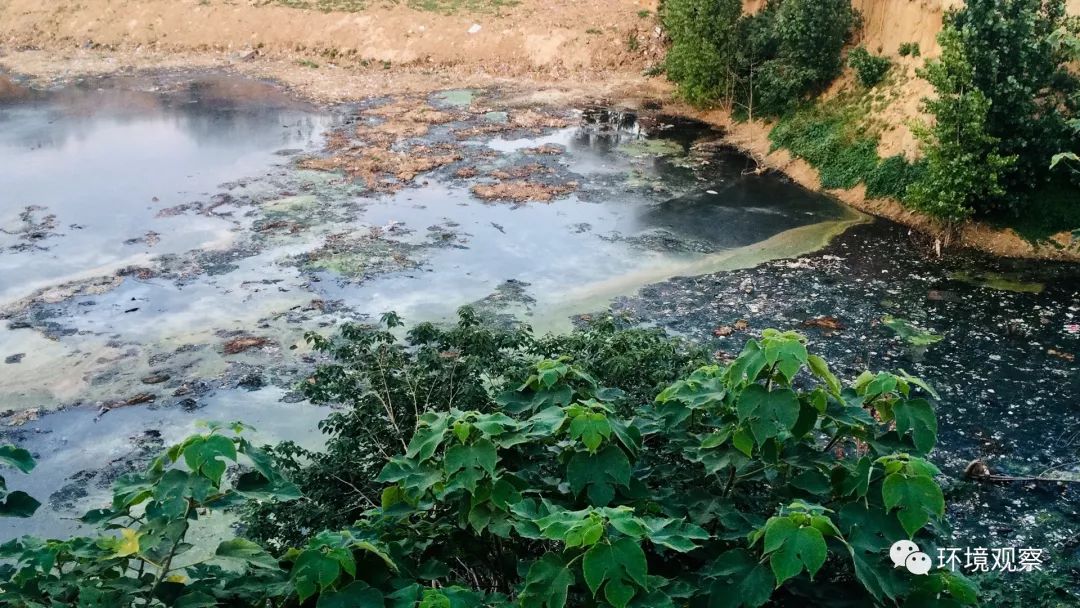 水体：山东青州40亩大坑垃圾废水该治理了！