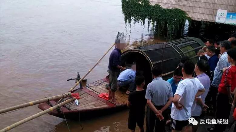 电鱼：湖南衡阳市民排队购买非法电鱼船渔获物，价值高达2000元