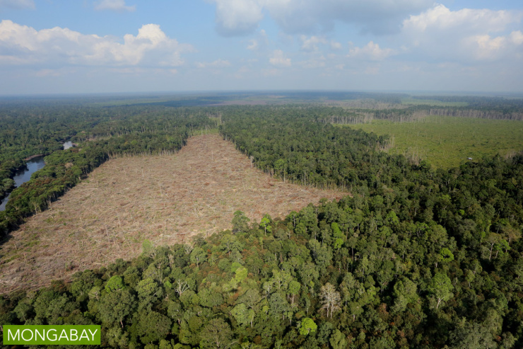 巴西：巴西政府抵制砍伐区大豆 研究保住360万公顷森林