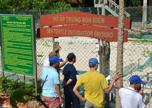 越南：保护濒危原生龟类 越南官方启动五年行动计划
