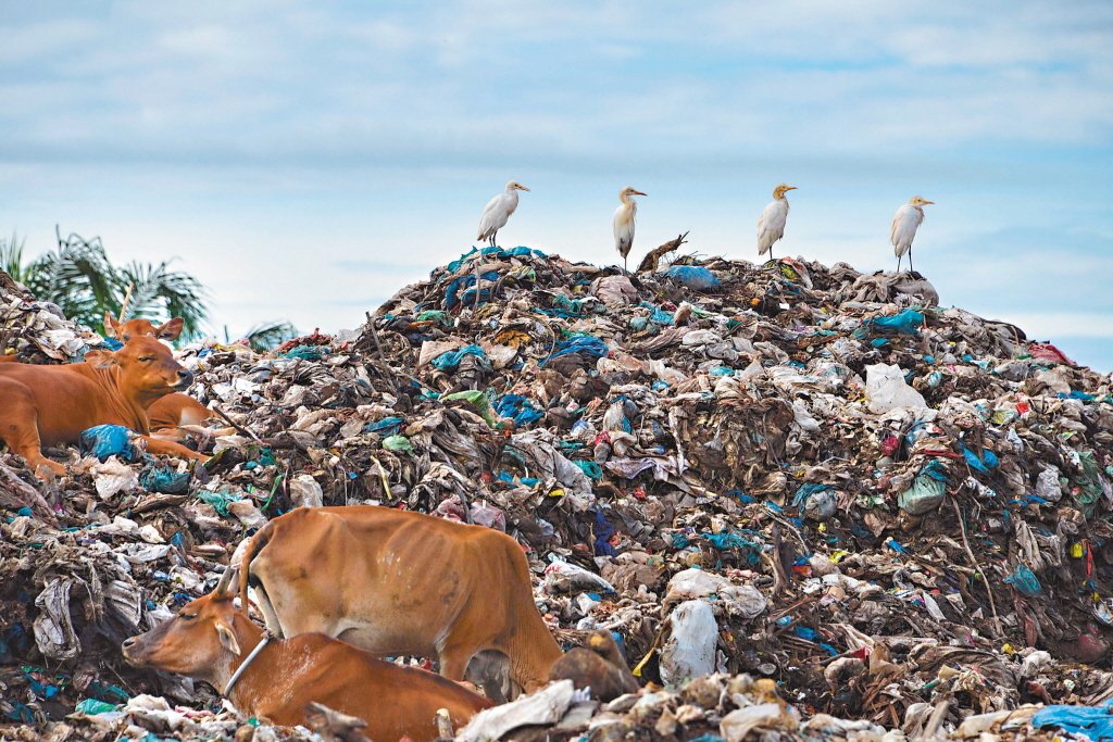 印尼：印尼拒收洋垃圾 废弃物货柜退回法国香港