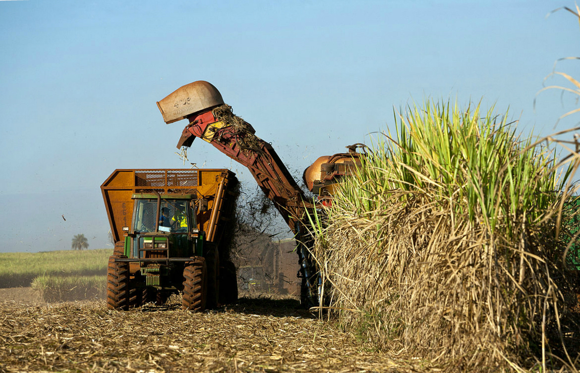 Harvestor_cutting_sugarcane_in_Brazil_meitu_2.jpg
