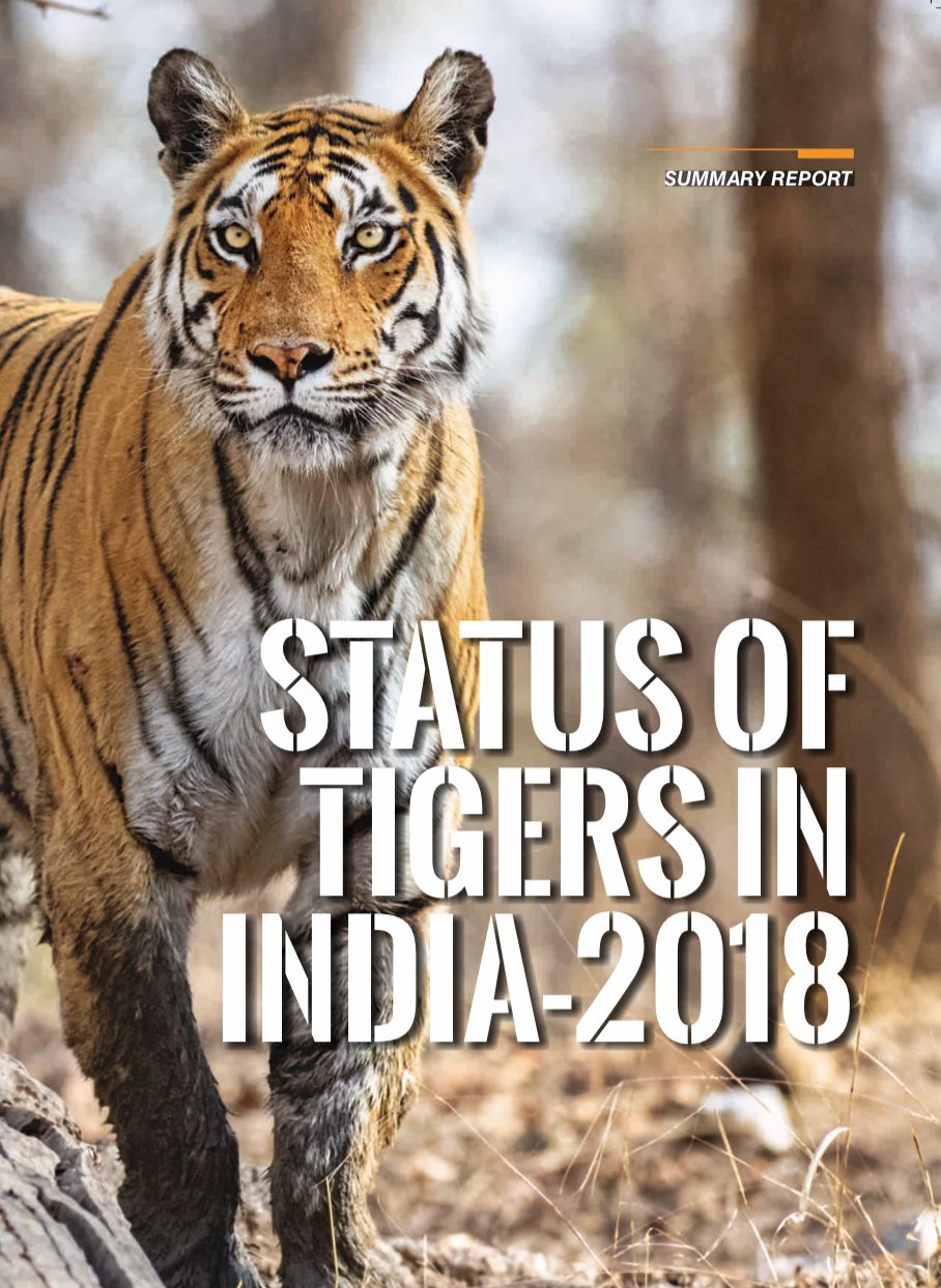 印度：深度解析印度野生虎数量增长的背后究竟是喜是忧？