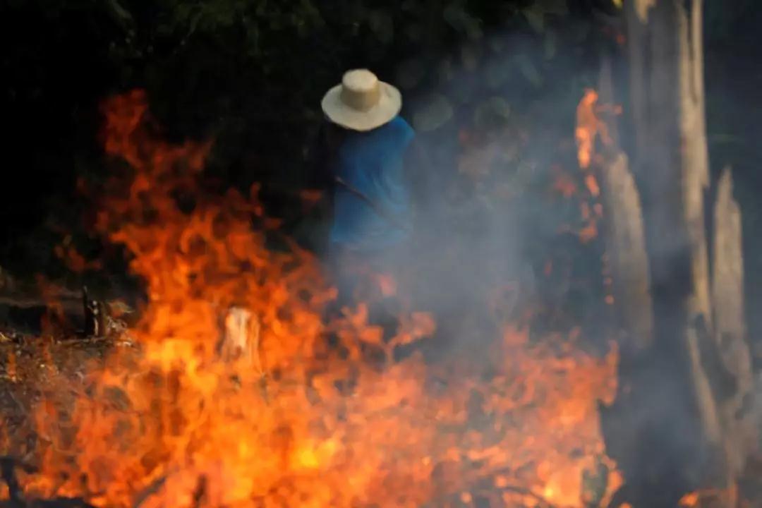 巴西：亚马孙大火17天，“地球之肺”因何而燃？