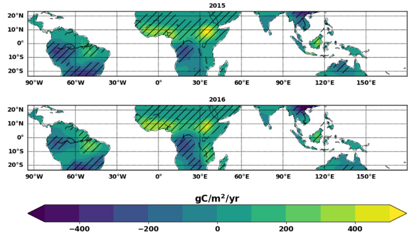 The-extent-of-CO2-emissions-from-tropical-land-in-2015-and-2016-in-grammes-of-carbon-per-metre-squared-per-year.jpg