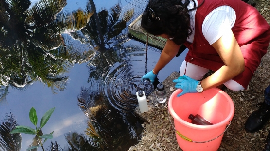 硝酸盐：同位素帮助追踪毛里求斯城区水污染来源