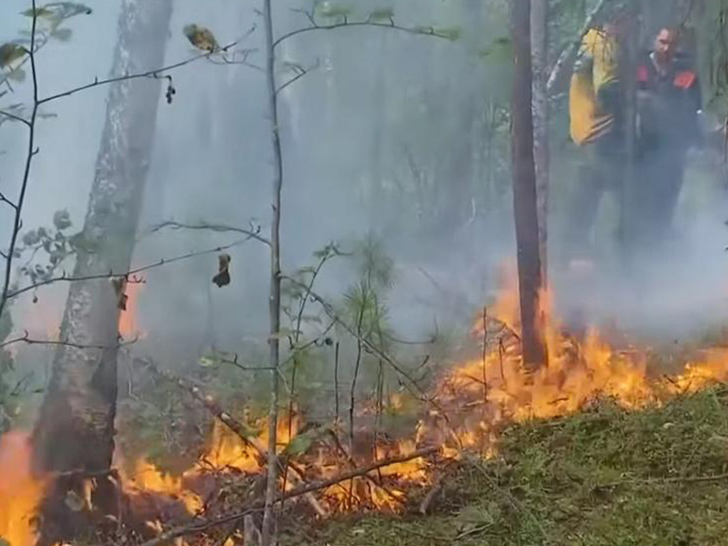 野火：西伯利亚野火延烧 吞噬逾40万公顷林地