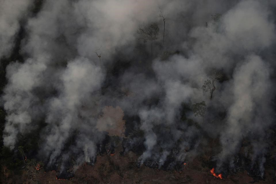 森林：亚马孙雨林野火烧不尽 复原可能耗时几百年