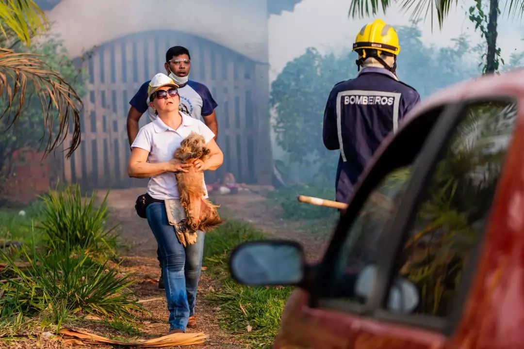 亚马逊：亚马逊森林大火之际，世界动物保护协会深入一线！