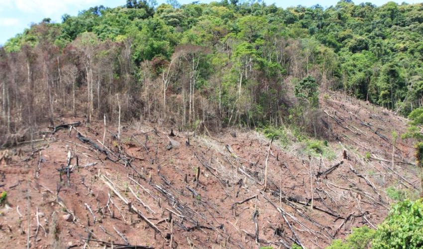 deforestation_in_myanmar.jpg