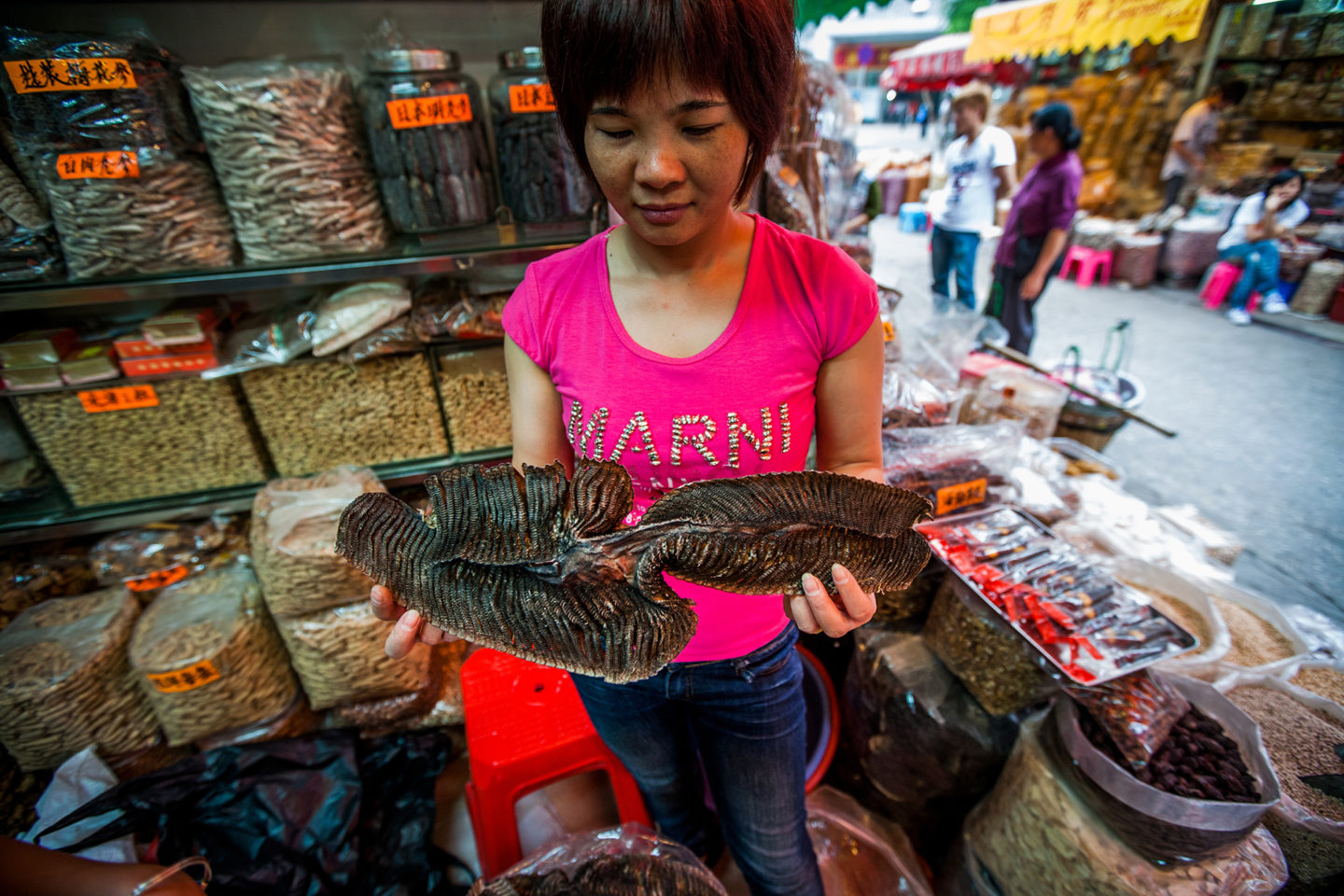 I9X1638_A-Chinese-traditional-medicine-seller-holds-up-a-manta-ray-gill--1440x960.jpg