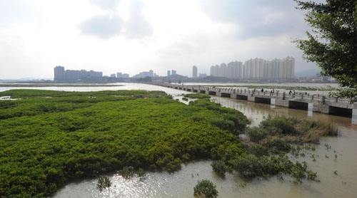 泉州市：《泉州市晋江洛阳江流域水环境保护条例》获省人大常委会批准
