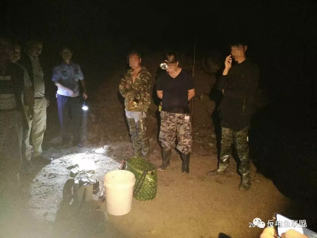 电鱼：福建寿宁县警民总动员，四名电鱼人黑夜遭围捕！