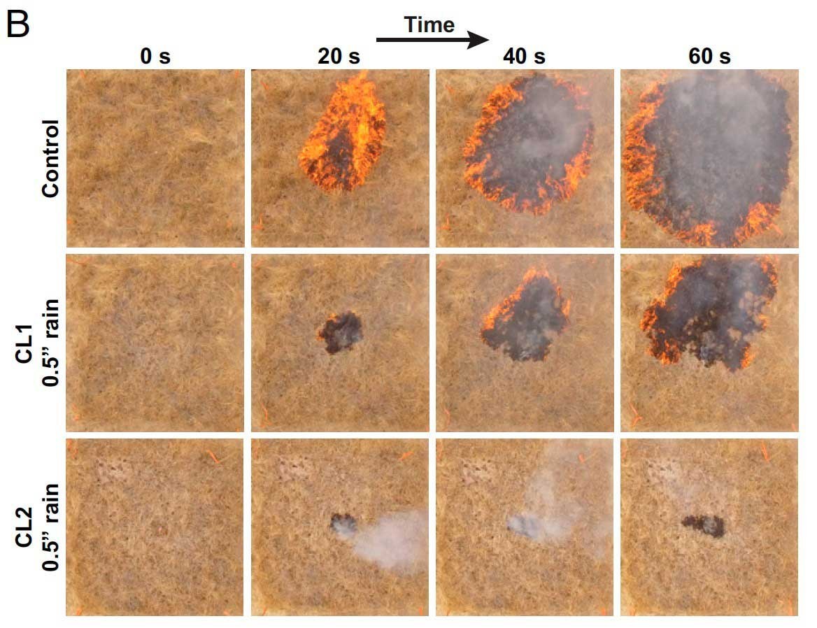 野火：耐用、无害、可降解 科学家发明可预防森林野火的黏液