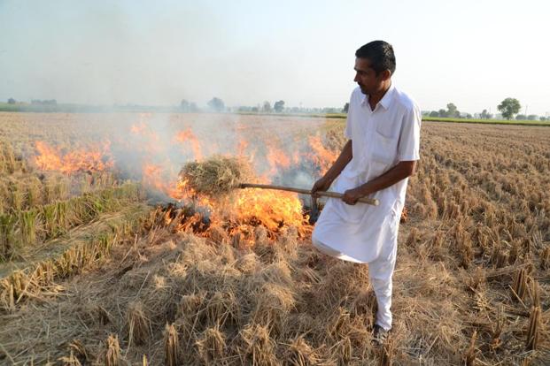 德里：印度农民焚烧秸秆 助长首都区空气污染恶化