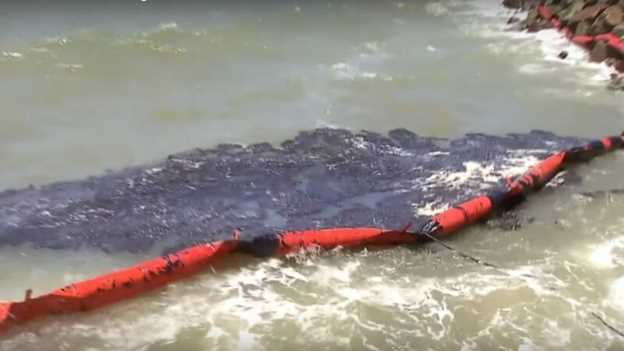 巴西：巴西浮油事件3个月 污染范围扩至座头鲸保育区