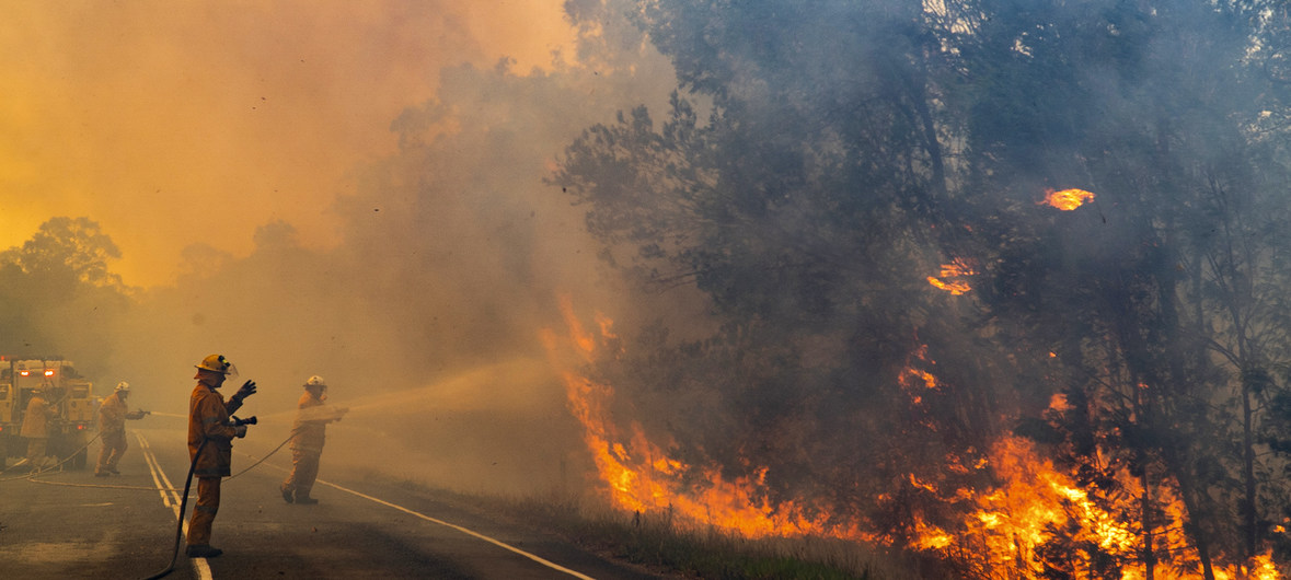 火灾：弱冷空气可能减轻森林火灾风险 气象组织敦促社区继续保持警惕