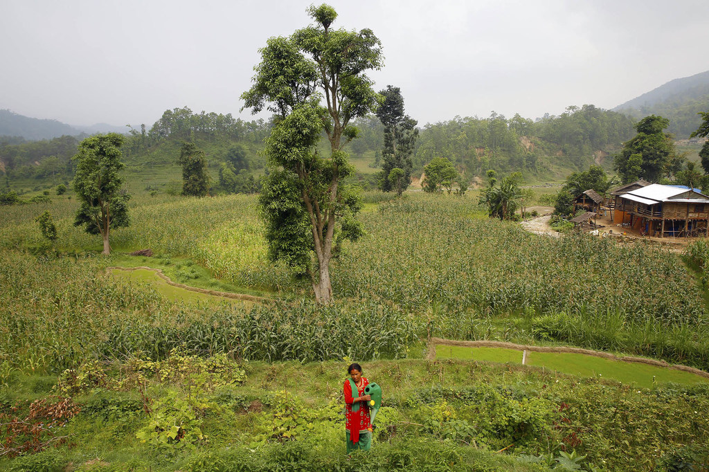 尼泊尔：绿色气候基金批准1.61亿美元支持智利、吉尔吉斯斯坦和尼泊尔应对气候变化