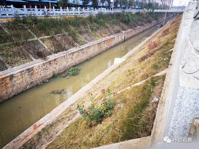 调查员：湖南省邵东县城区的这条黑臭河（里安河）该治了