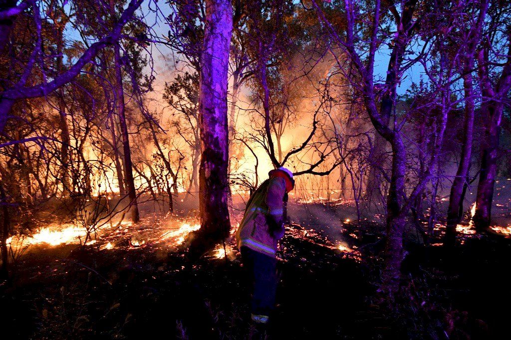 威尔斯：预料气温突破40度加强风 澳洲野火恐失控