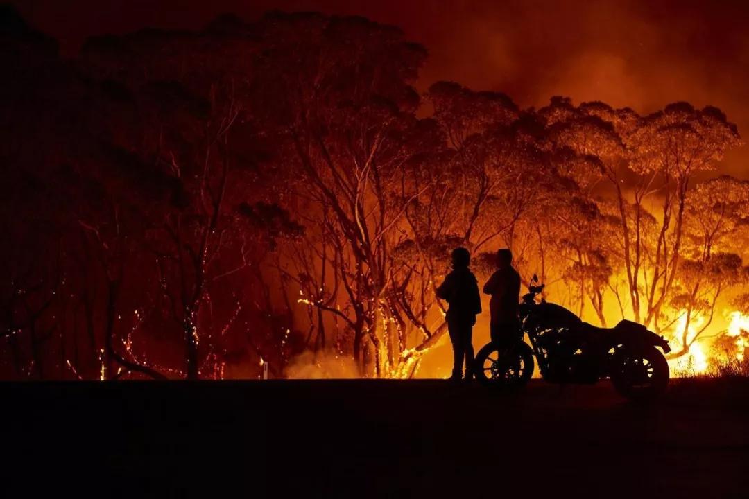 澳大利亚：走向失控的四个月澳洲大火缘何肆虐？一个恶性循环的过程