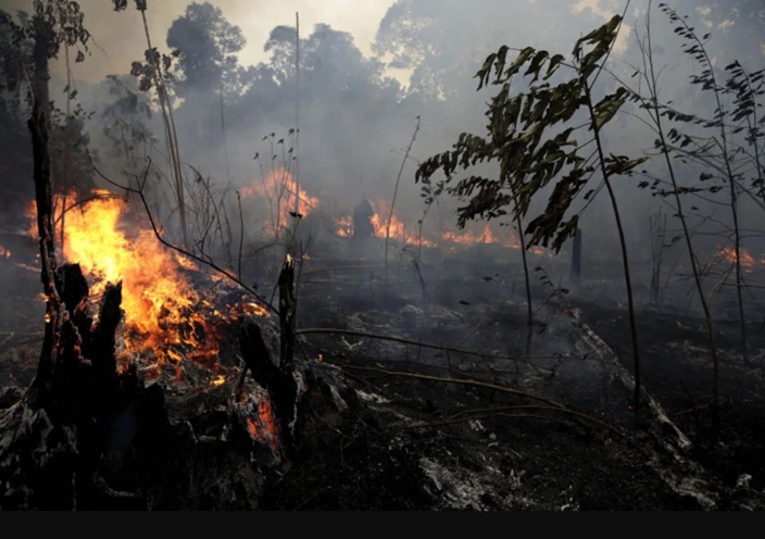 20200109_ch_亞馬遜雨林火災1.jpg