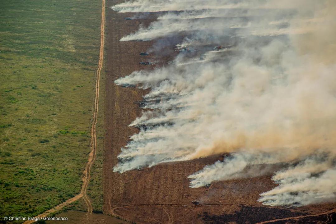 巴西：在疫情失控的巴西，亚马孙雨林仍有上千处林火在燃烧