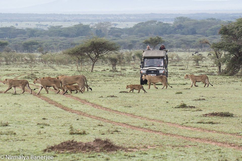 肯尼亚：保育是新的商业模式 肯尼亚马赛地主我的土地已属于野生动物