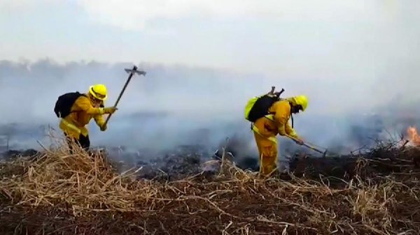 巴拉圭：全球最大湿地“潘塔纳乌” 上半年共2534起野火