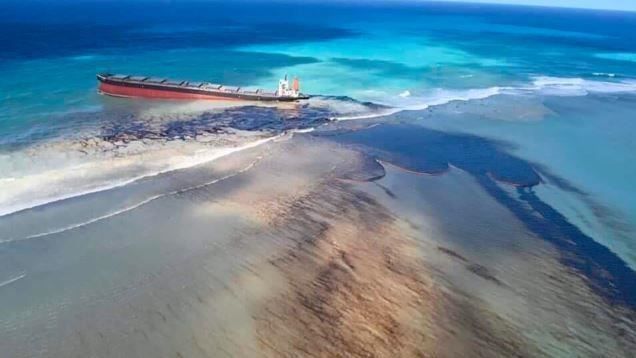 毛里求斯：日本货轮漏油浩劫清污近完成 重点转向红树林等生态